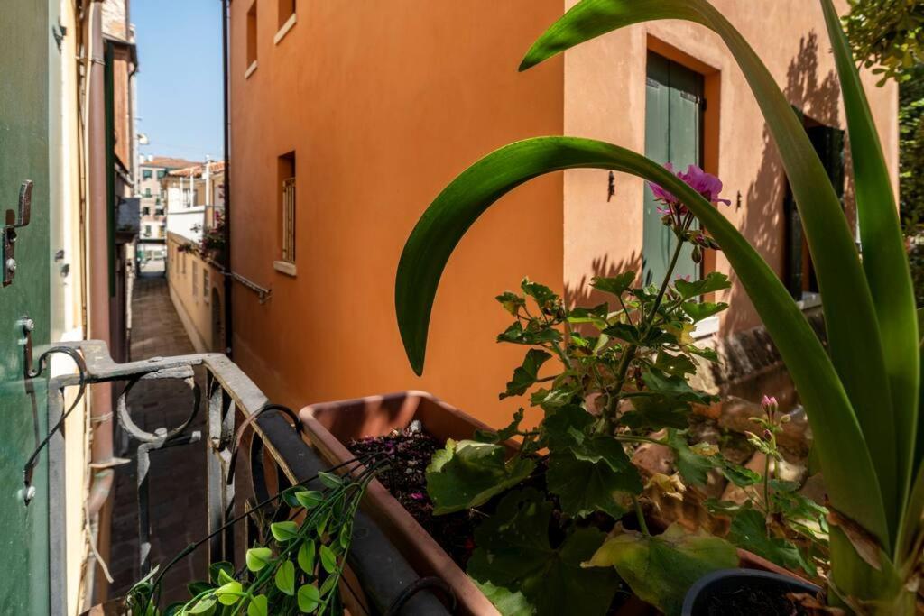 Апартаменты Ca' Mandorla 027042Loc09523 Венеция Экстерьер фото